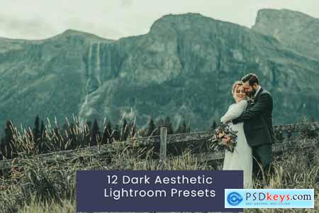 12 Dark Aesthetic Lightroom Presets