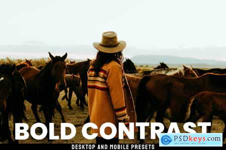 Bold Contrast - Desktop and Mobile Presets