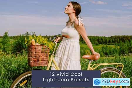 12 Vivid Cool Lightroom Presets