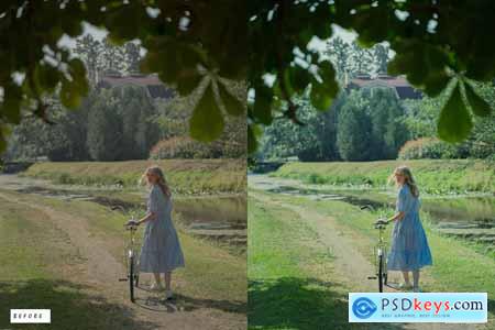 12 Vivid Cool Lightroom Presets