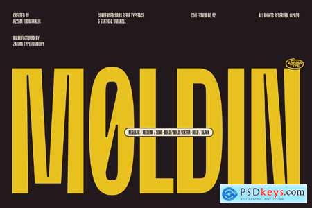 Moldin - Condensed Sans Serif Font