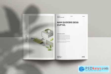 Product Package Brochure Template