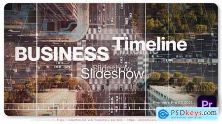 Business Timeline 56302208