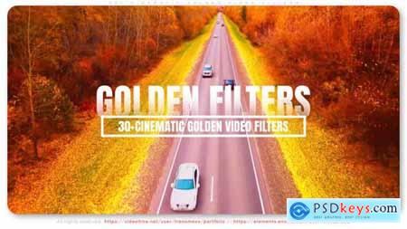 30+ Cinematic Golden Video Filters 56304164