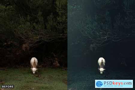 AI Optimize Dark Green Lightroom Presets