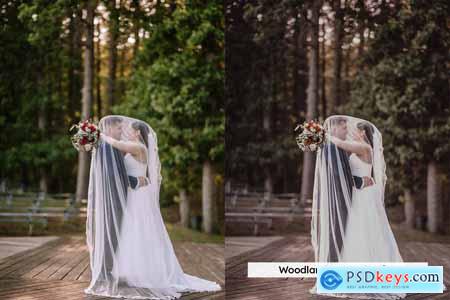 20 Forest Mood Lightroom Presets and LUTs