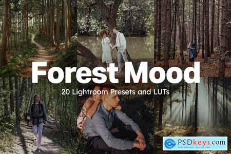 20 Forest Mood Lightroom Presets and LUTs