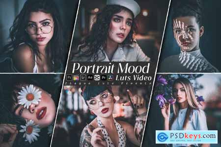 Portrait Mood Lightroom Preset & Luts Premiere Pro