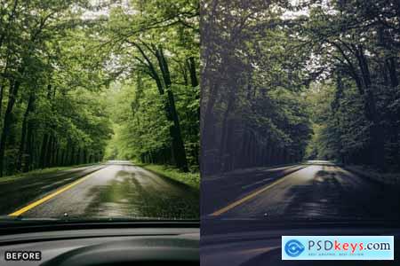 AI Optimize Dark Green Lightroom Presets