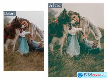 Road Trip Lightroom Preset & Luts Premiere Pro