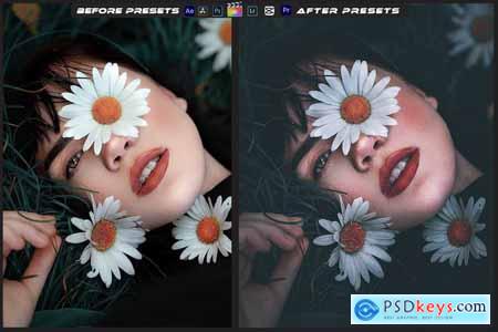 Portrait Mood Lightroom Preset & Luts Premiere Pro