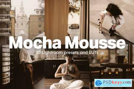 20 Mocha Mousse Lightroom Presets and LUTs