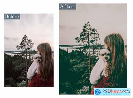 Road Trip Lightroom Preset & Luts Premiere Pro