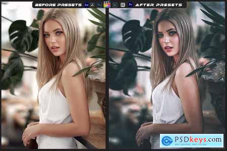 Portrait Mood Lightroom Preset & Luts Premiere Pro