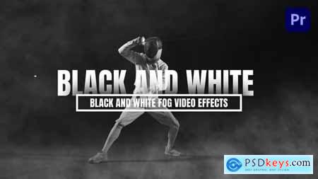 Black And White Fog Video Effects For Premiere Pro 56363585