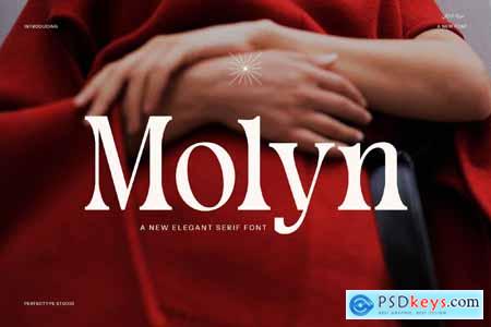 Molyn Modern Serif Font