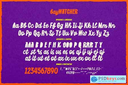 Bay Watcher - Summer Holiday Font