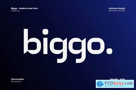 Biggo Modern Sans Font