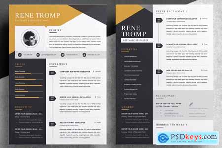 Professional Executive Resume