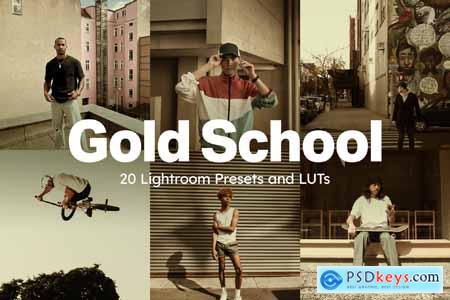 20 Gold School Lightroom Presets and LUTs