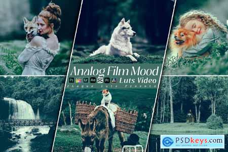 Analog Film Mood Lightroom Preset & Luts Premiere