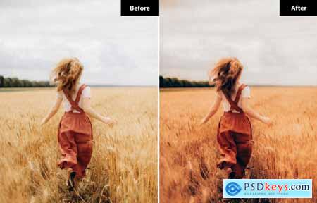 6 Golden Glow Lightroom and Photoshop Presets