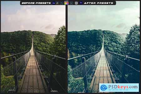 Analog Film Mood Lightroom Preset & Luts Premiere