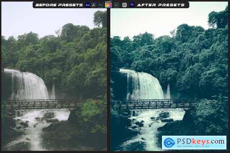 Analog Film Mood Lightroom Preset & Luts Premiere