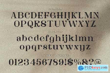 Dainey Modern Serif Font