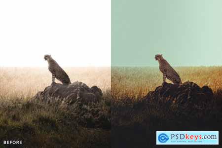 AI Optimized Wild Animal Lightroom Presets