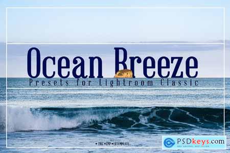 Ocean Breeze Presets for Lightroom Classic