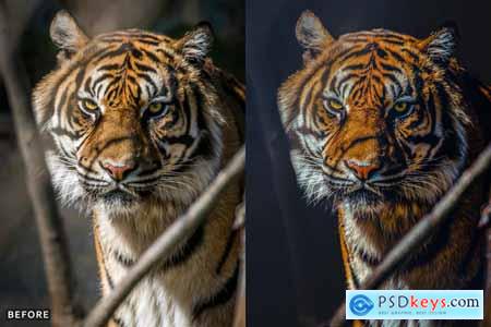 AI Optimized Wild Animal Lightroom Presets