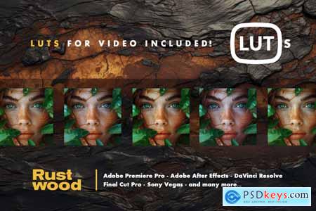 Rustwood Photoshop Action and LUTs