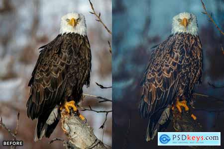 AI Optimized Wild Animal Lightroom Presets