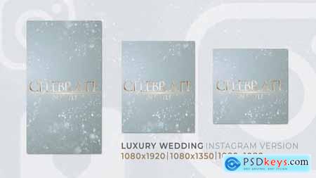 Luxury Wedding Romantic Love Instagram Reel 56955388