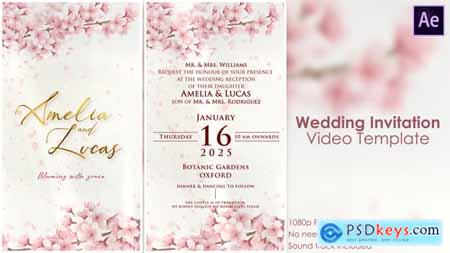 Wedding Invitation 2 57013500 