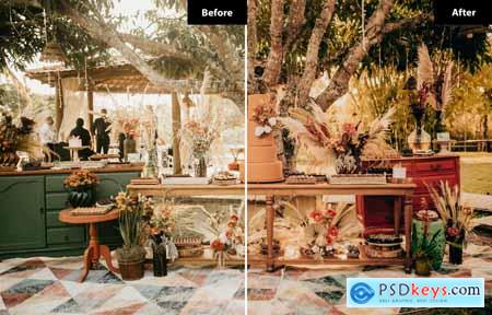 6 Earthy Elegance Lightroom and Photoshop Presets