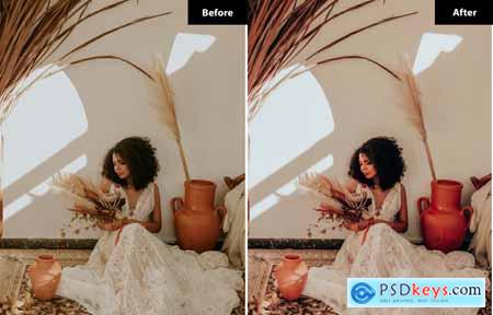 6 Earthy Elegance Lightroom and Photoshop Presets