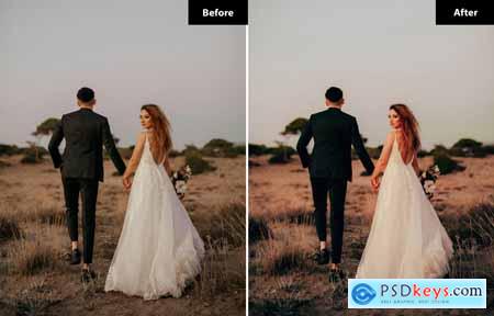 6 Timeless Wedding Lightroom and Photoshop Presets