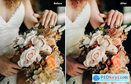 6 Timeless Wedding Lightroom and Photoshop Presets