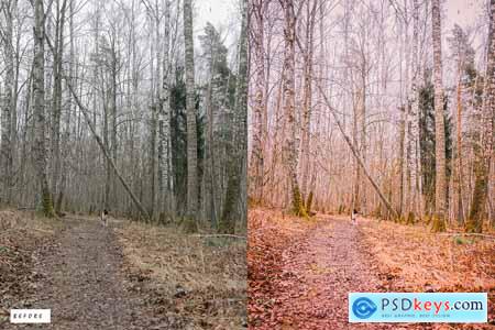 15 Landscape Warm Lightroom Presets