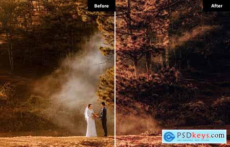 6 Earthy Elegance Lightroom and Photoshop Presets