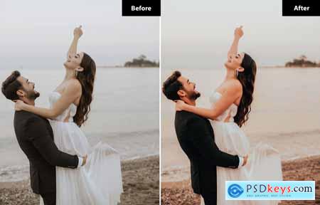 6 Elegant Wedding Lightroom and Photoshop Presets