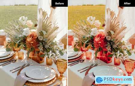 6 Earthy Elegance Lightroom and Photoshop Presets