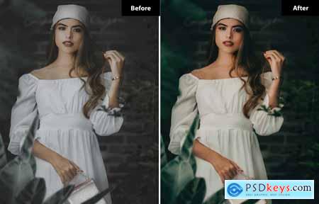 6 Elegant Wedding Lightroom and Photoshop Presets