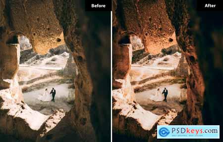 6 Earthy Elegance Lightroom and Photoshop Presets