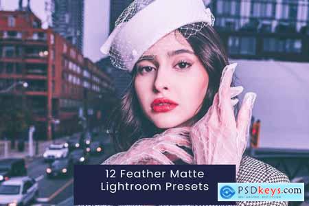 12 Feather Matte Lightroom Presets