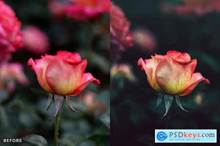 AI-Optimized Macro Photography Lightroom Presets