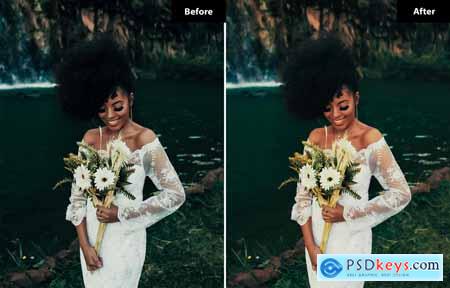 6 Rustic Wedding Lightroom and Photoshop Presets