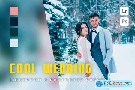 6 Cool Wedding Lightroom and Photoshop Presets